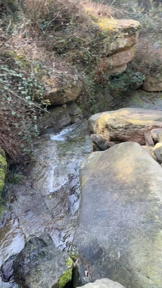 小僵尸射飞鸟